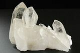 Clear Quartz Crystal Cluster - Brazil #258912-1